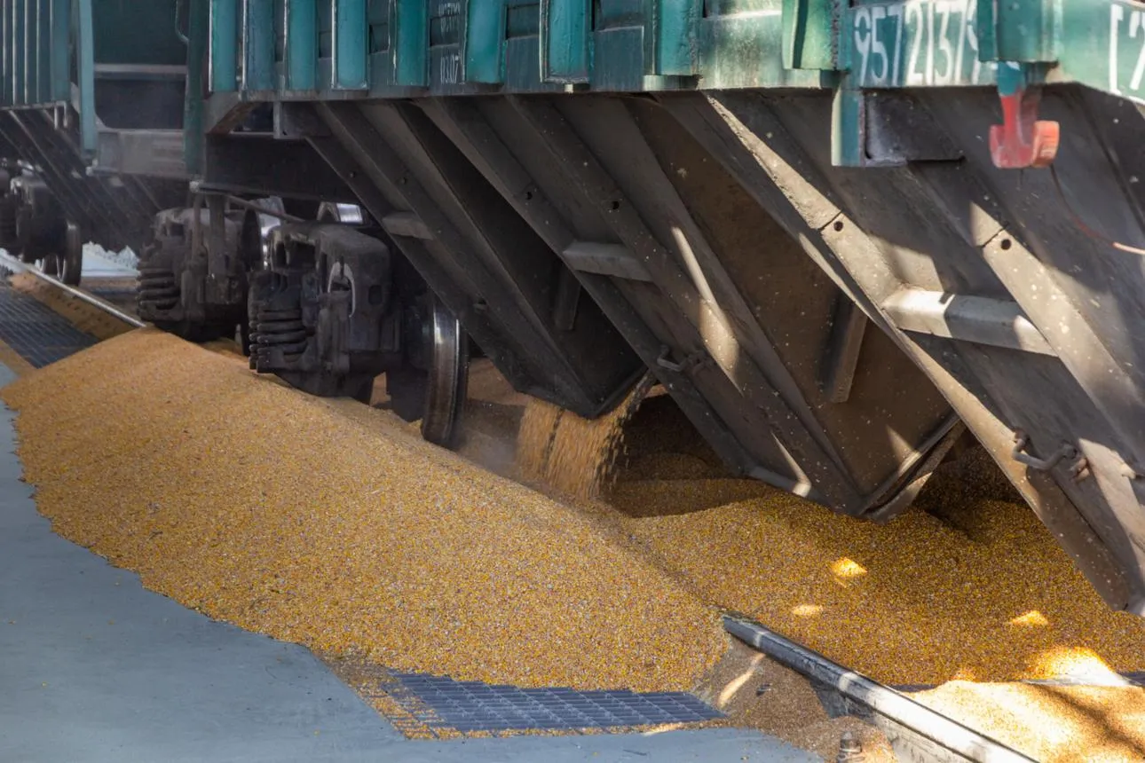 Carriage storage of food Carriage storage of food
